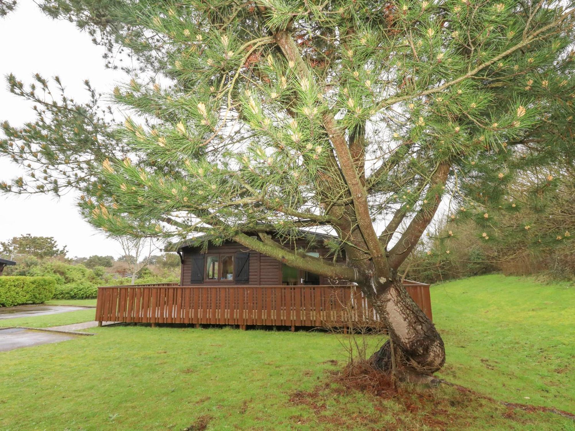 16 Amber Wood Lodge Lymington Exterior photo